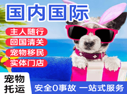 永州零陵国际宠物托运 【国